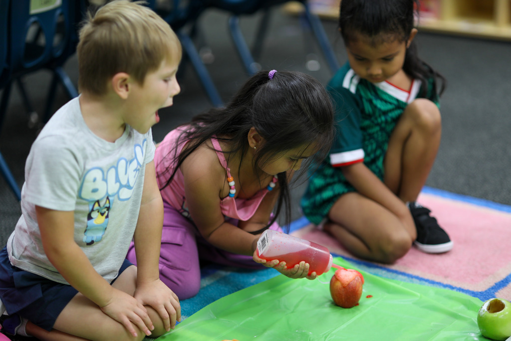 Students pour vinegar into their apple experiment.