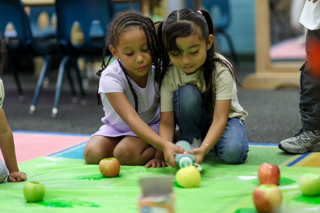 Students pour vinegar into their apple experiment.