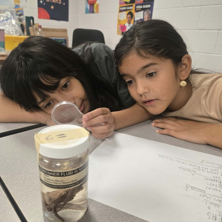 Two young girls lean over a classroom desk, using a magnifying glass to examine a preserved specimen jar next to observation notes
