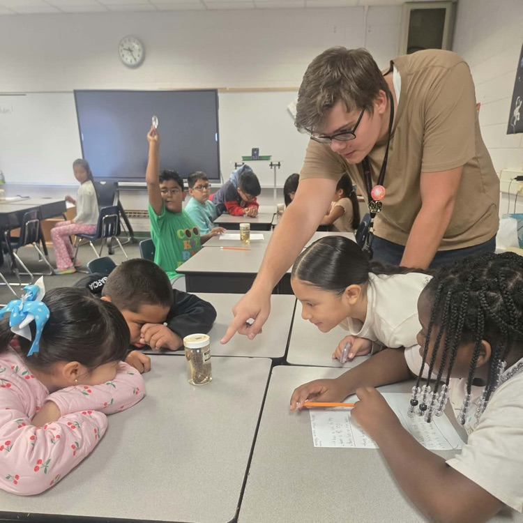 A teacher points to a specimen jar on a desk as a group of young students takes notes and observes during a classroom science activity