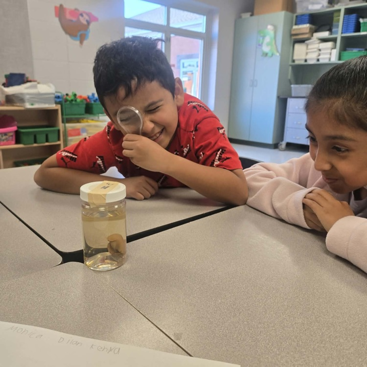 A boy in a red shirt smiles as he looks through a magnifying glass at a specimen jar while a girl in a pink jacket watches