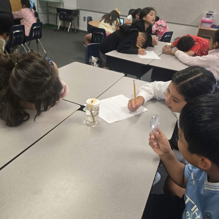 Students work at classroom desks, with one girl writing notes next to a specimen jar while a boy holds up a magnifying glass