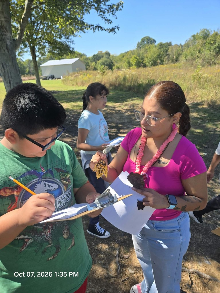 An educator wearing a pink shirt and glasses holds up dried tree leaves to show a young boy in a green dinosaur shirt as he records observations on a clipboard. Other students participate in the outdoor science activity nearby in a sunlit field.