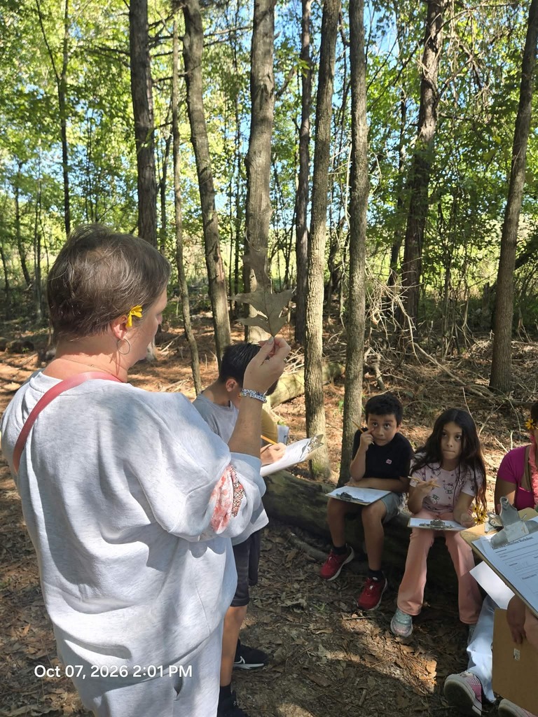 A female teacher standing in a wooded area holds up a large oak leaf to demonstrate a concept for elementary students sitting on a log with clipboards.