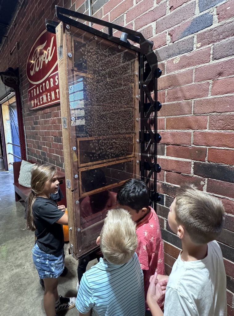 Elementary students look closely at a tall, transparent observation beehive filled with honeybees. The glass enclosure is mounted against an exposed brick wall next to a vintage Ford Tractors sign inside a building.