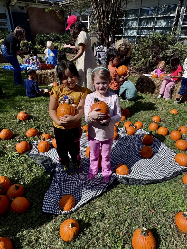 Two young girls stand side by side outdoors on a sunny day in a grassy lawn dotted with small pumpkins. The girl on the left wears a yellow graphics shirt and black athletic pants, holding a small orange pumpkin close to her chest while smiling. The girl on the right, wearing a light pink long-sleeve shirt with a ghost print and pink ribbed pants, also holds a small pumpkin. They are standing on a black-and-white checkered picnic blanket laid on the grass. In the background, other children and adults are gathered on bales of hay and blankets enjoying an autumn pumpkin patch event.