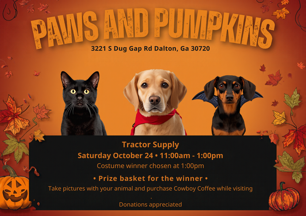 Paws and Pumpkins is tomorrow, October 24th, from 11:00am - 1:00pm! Dress up your pet, come grab a coffee, take a picture and enter the pet costume contest! Our 2nd grade community innovators hope to see you there!