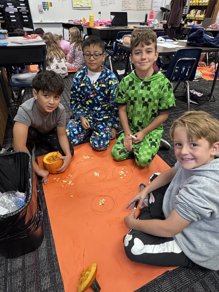Students sitting on the floor with groups of pumpkin seeds
