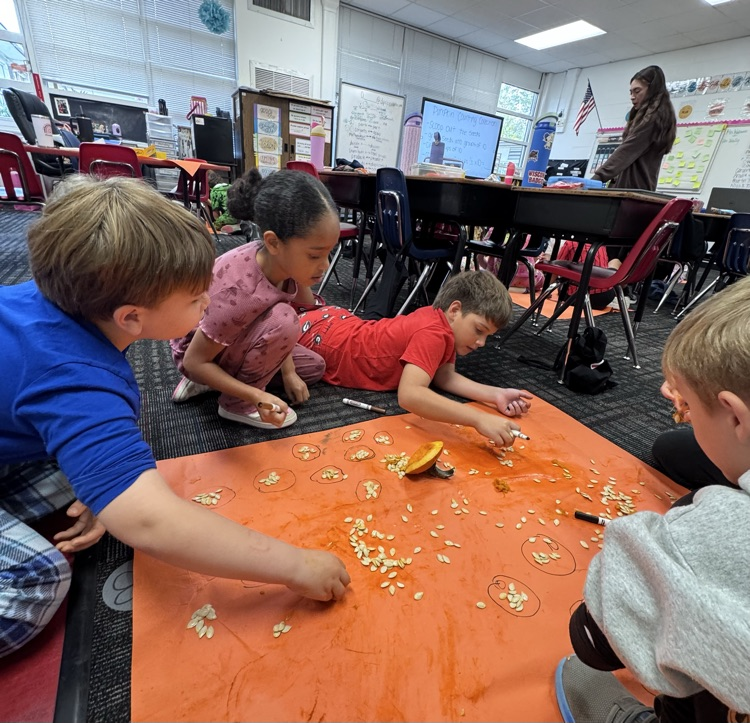 Students on the ground counting pumpkin seeds 