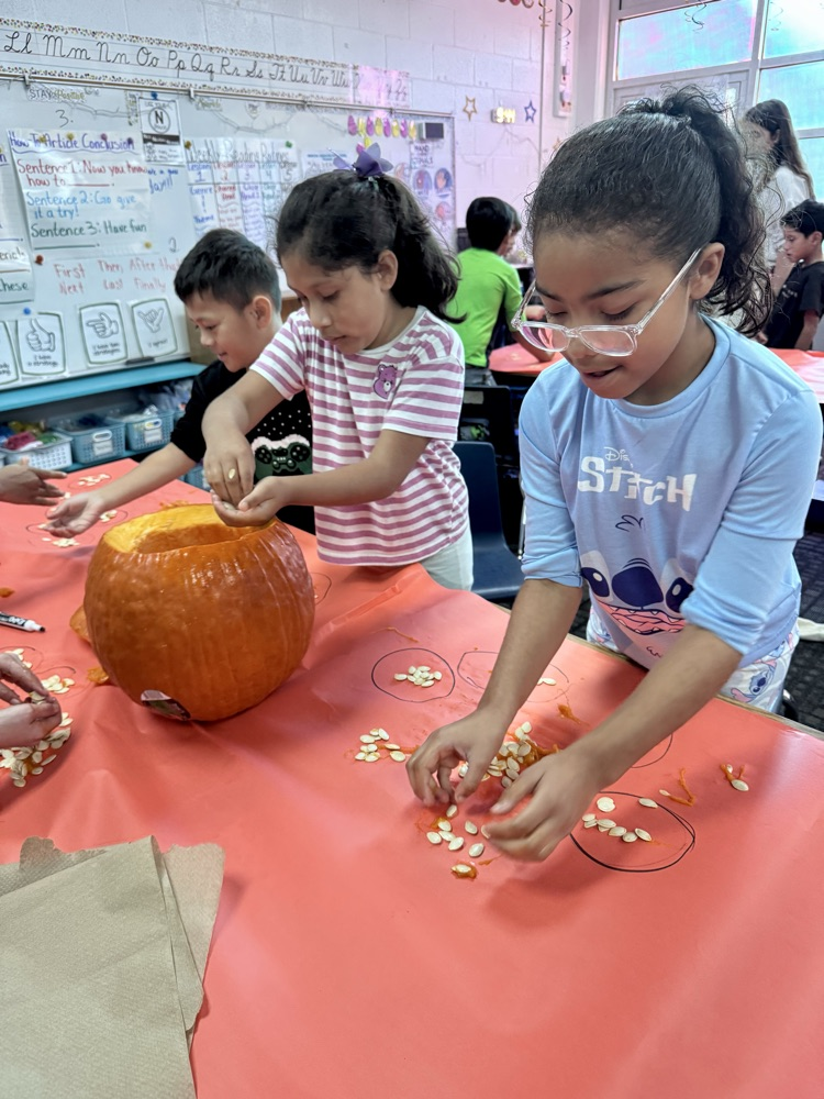 Two students, one getting pumpkin seeds from the pumpkin and the other one counting the seeds