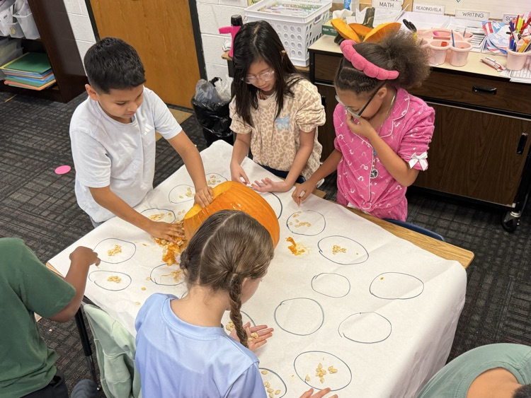 A group of students counting pumpkin seeds 