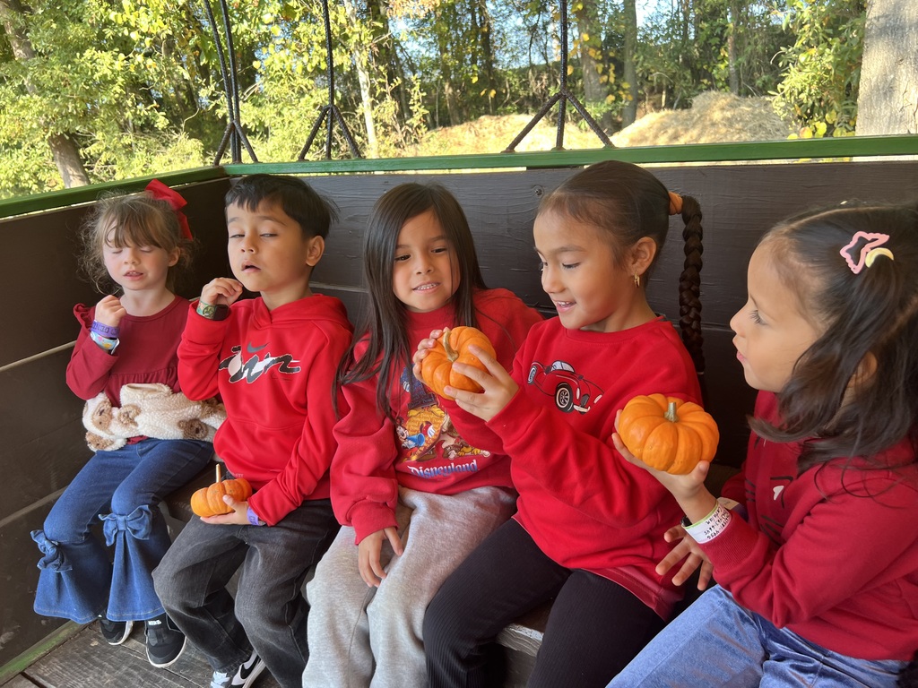 five preK students smiling and holding pumpkins