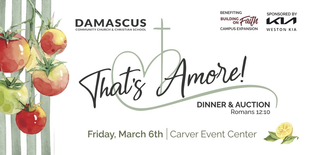 ripened tomatoes on a vine