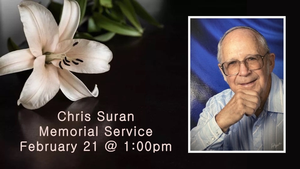 pale flower on a dark background