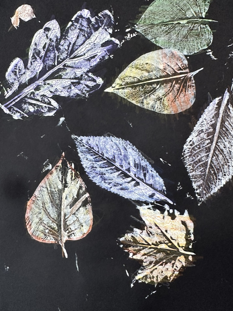 we have some talented art students in our elementary classes