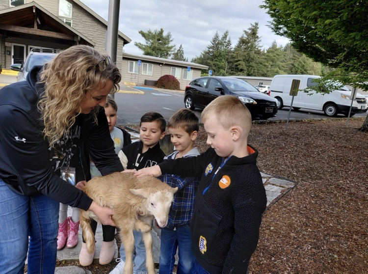Pre-K receives a visit from a lamb