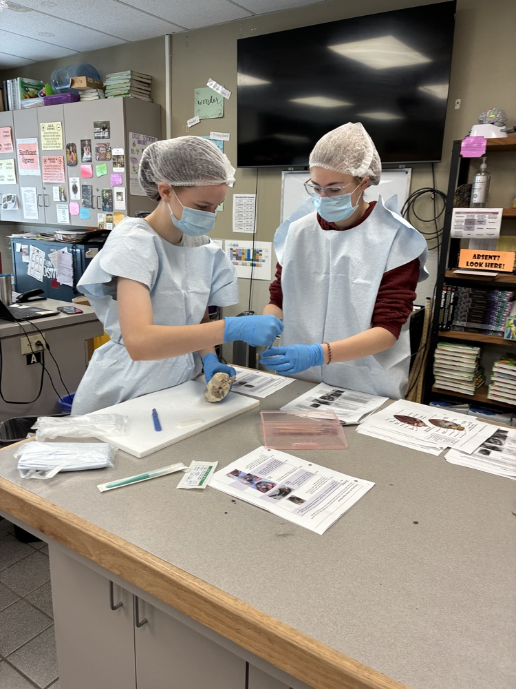 Human Anatomy class dissections.