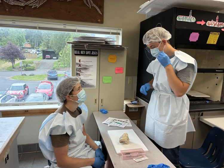 Human Anatomy class dissections.