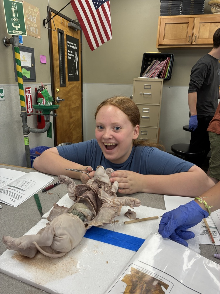 Biology, fetal pig dissections