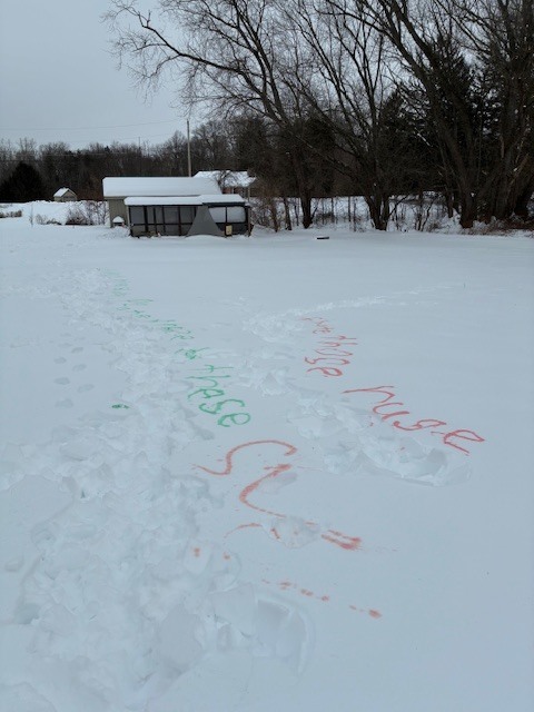 Spelling words created with colored water in the snow