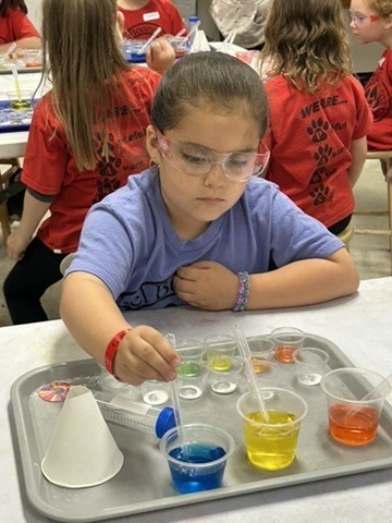 Picture of a student sitting in front of a tray with three plastic cups with droppers, a paper cone and smaller plastic 1 oz cups.