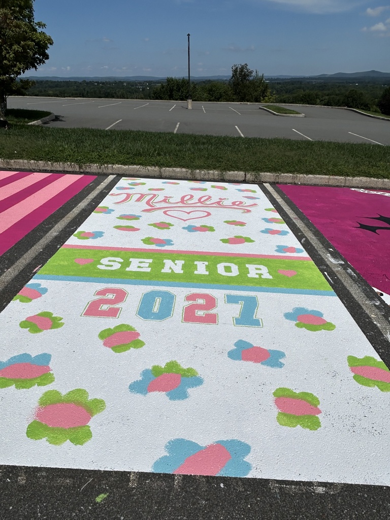 A completed parking spot features a light blue background decorated with colorful flowers, the name βMillie,β the word βSENIOR,β and large β2027β lettering in pastel pink, blue, and green.