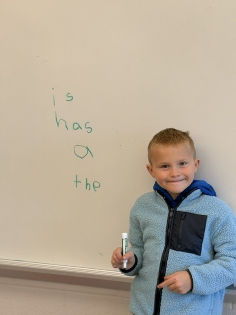 Student wearing a blue fleece hoodie and holding a dry erase marker standing next to the words written on a whiteboard "is" "has" "a" "the"