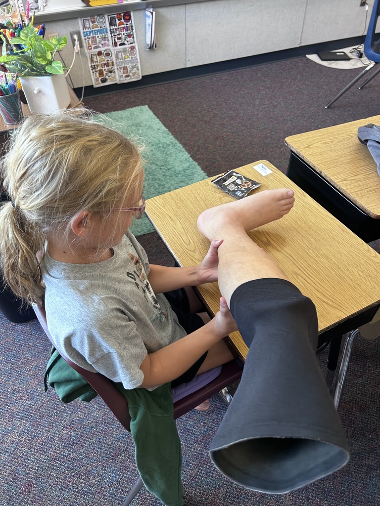 A student examines a prosthetic leg.