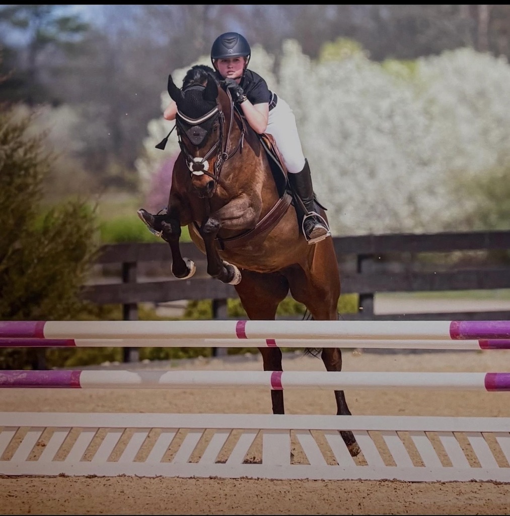 Student riding a horse jumping over a hurdle.