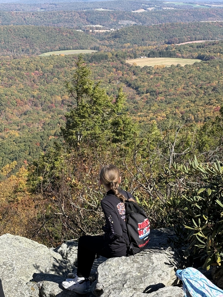A student takes in the panoramic views of the surrounding mountains and colorful autumn foliage from a rocky overlook at Hawk Mountain.