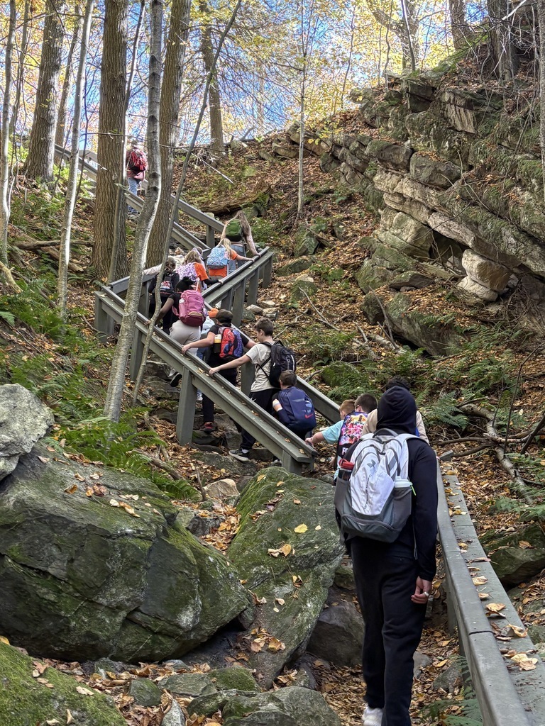 Sixth-grade students hike up a rocky, wooded trail at Hawk Mountain, climbing a set of stairs along the mountainside.