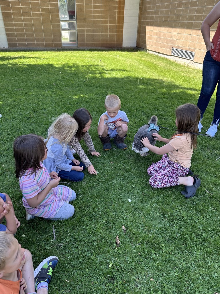 show and tell with goose and kids