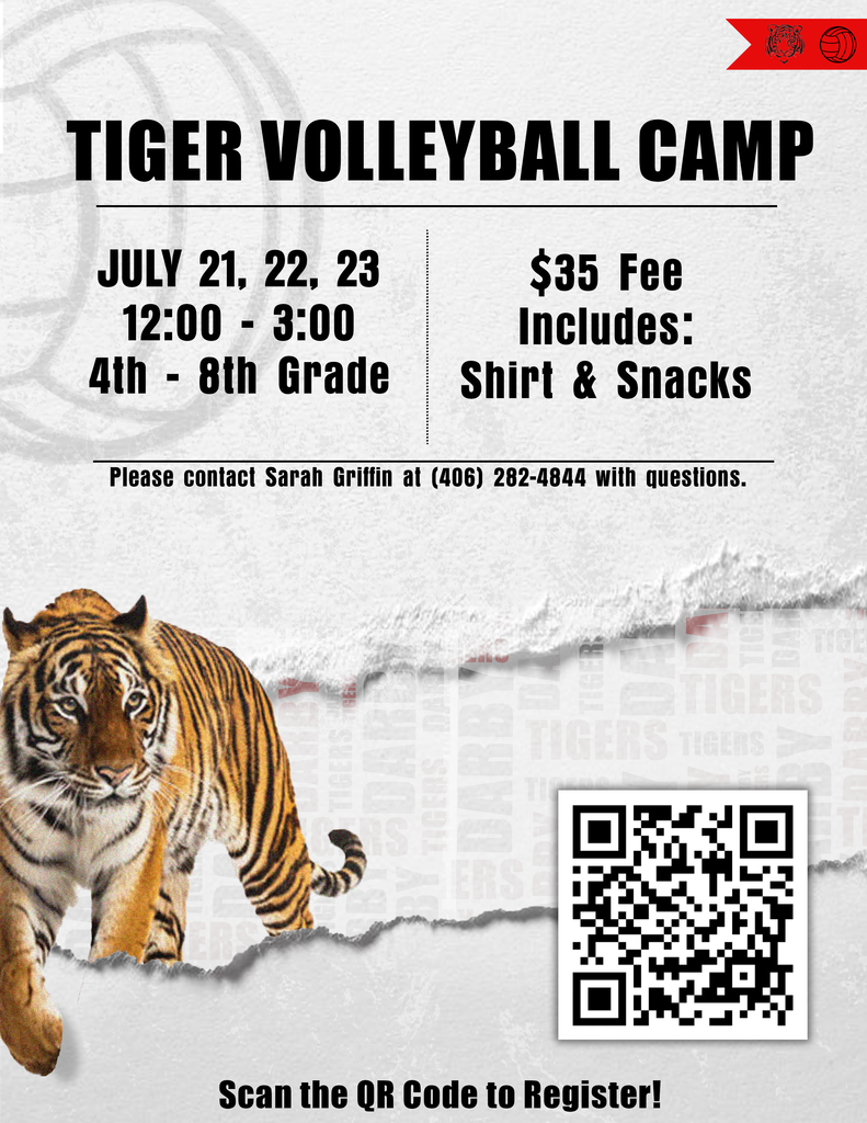 Tiger Volleyball Camp 