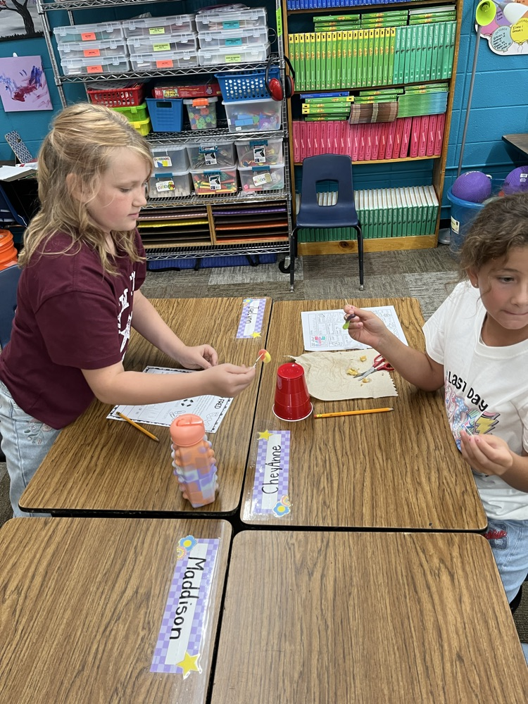 team building activity