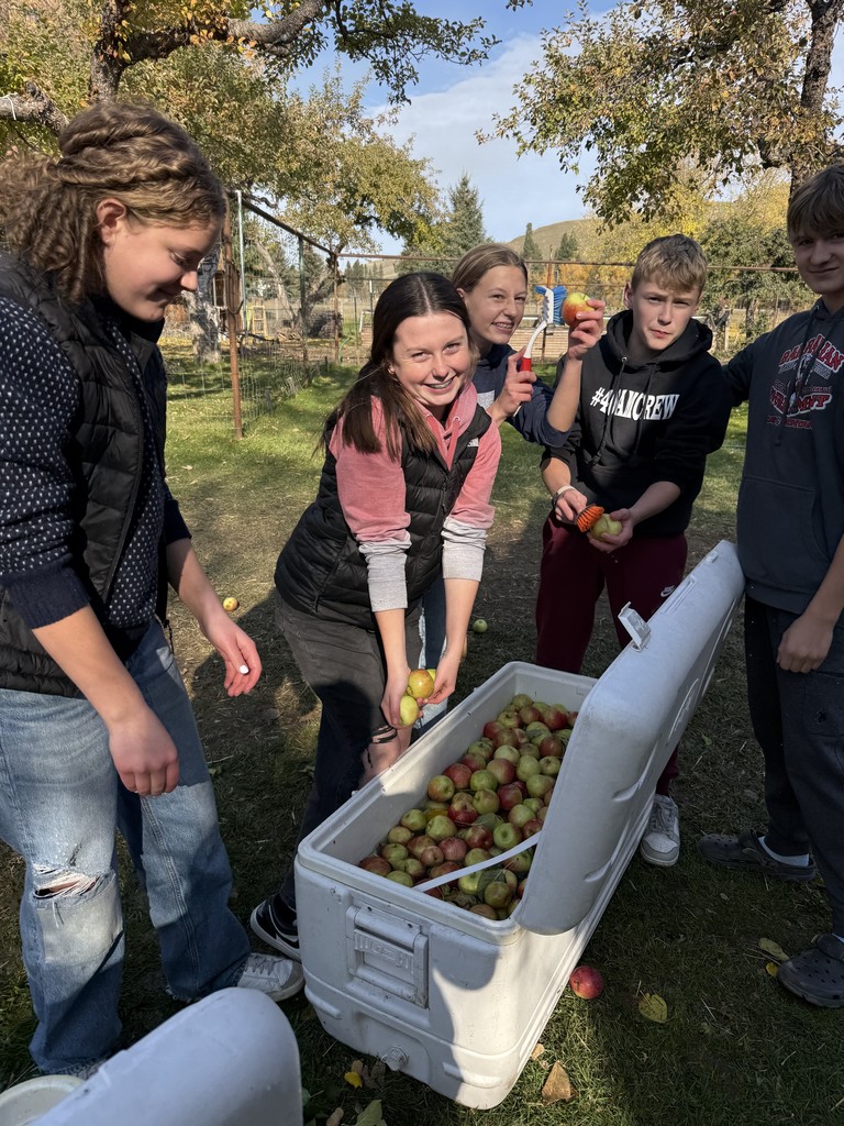Washing the Apples