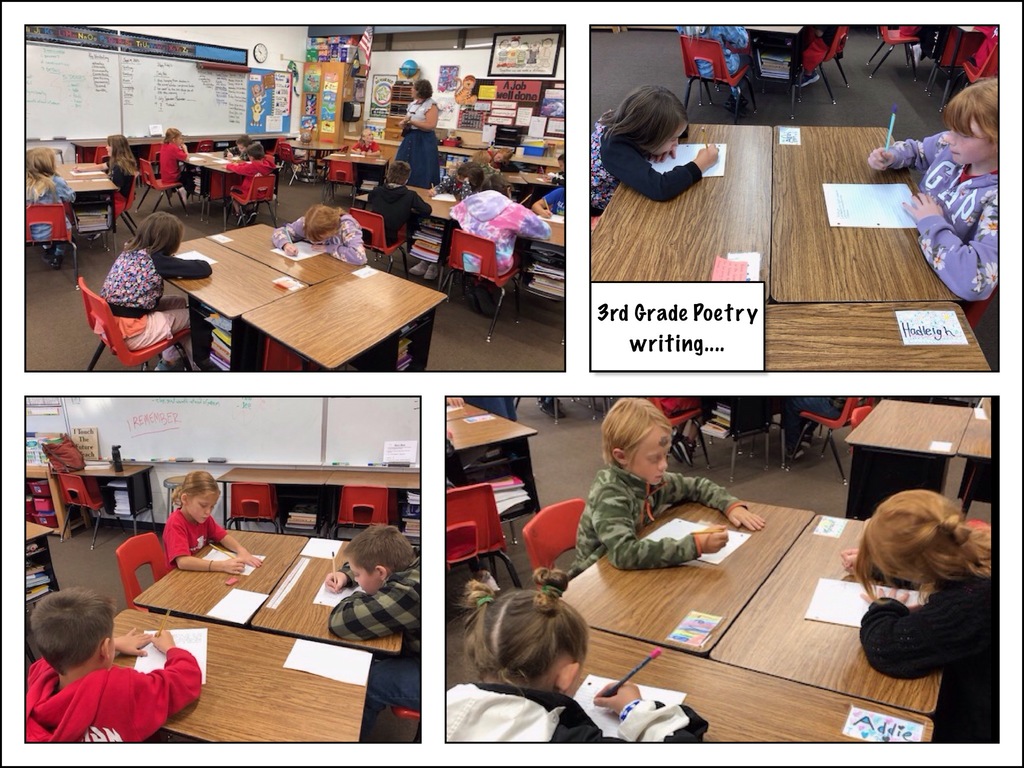 3rd Grade Poetry writing..