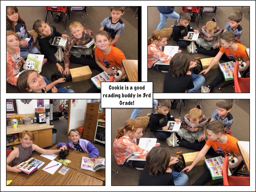 3rd Graders Reading with their class pet Cookie!