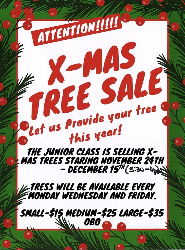 Christmas tree sale