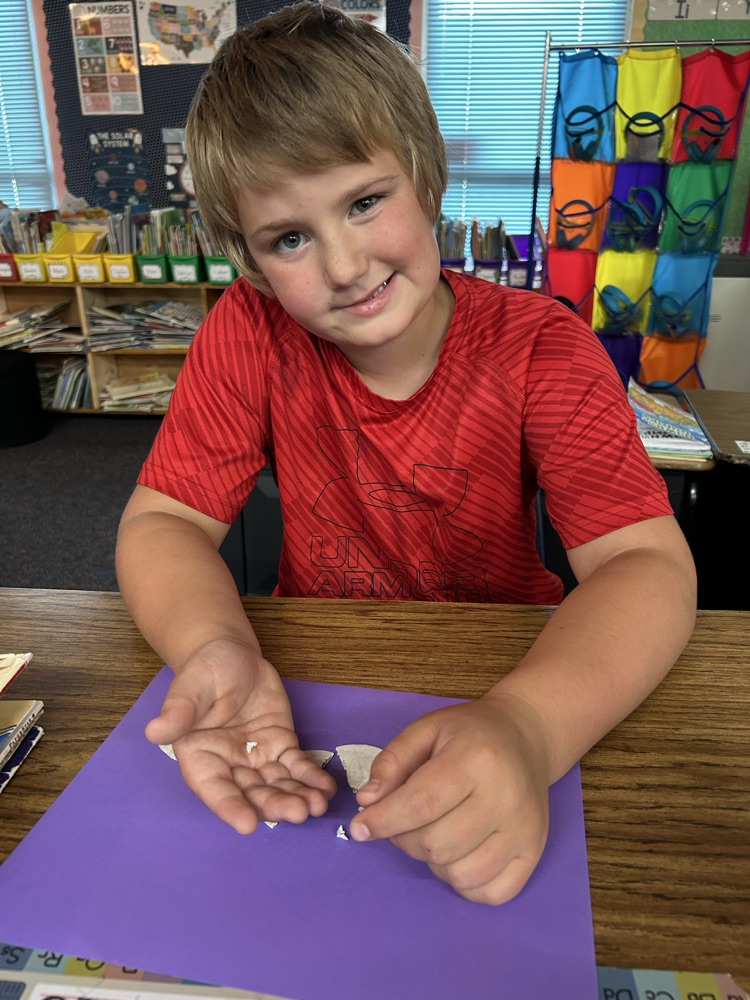 Sand Dollar Jaw Sections