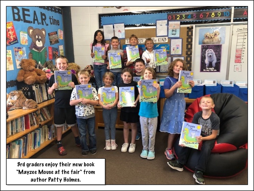 New book for 3rd graders.