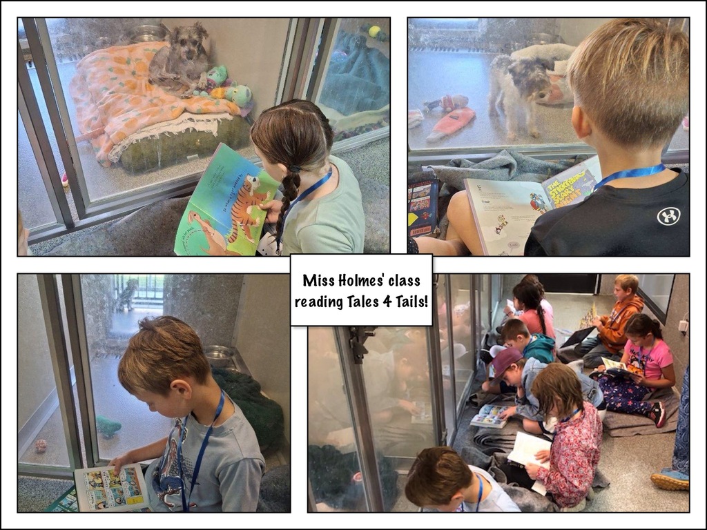 3rd Grade Tales 4 Tales