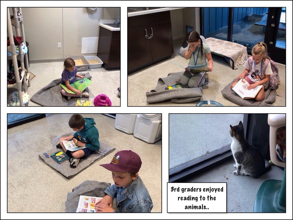 3rd Grade Tales 4 Tails