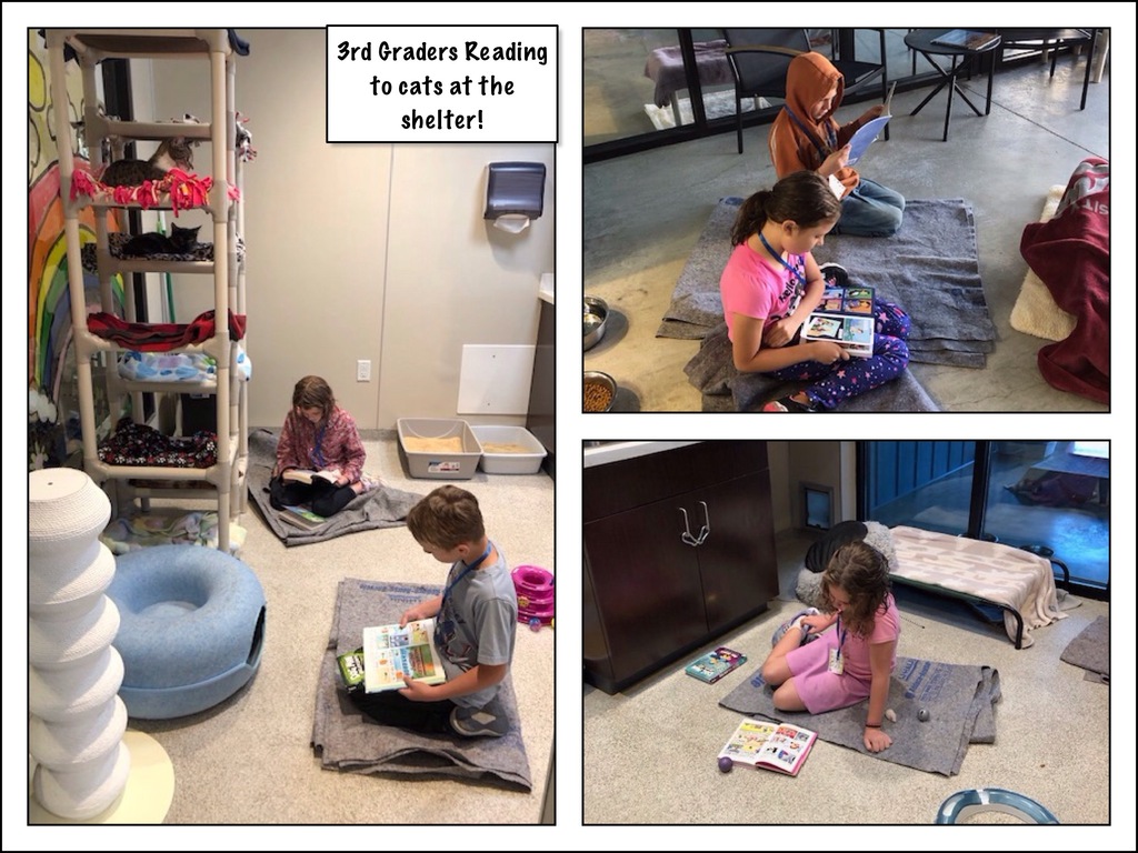 3rd Grade Tales 4 Tails
