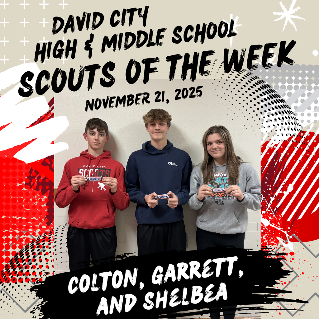 DCPS - Scout of the week November 21