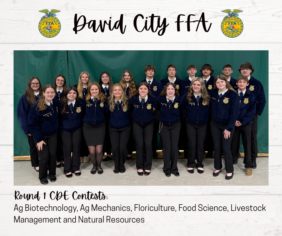 DC FFA CDE1