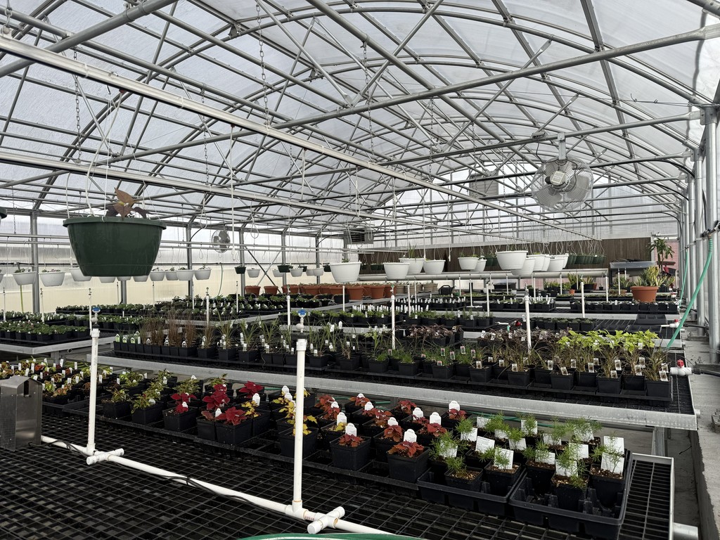 Greenhouse