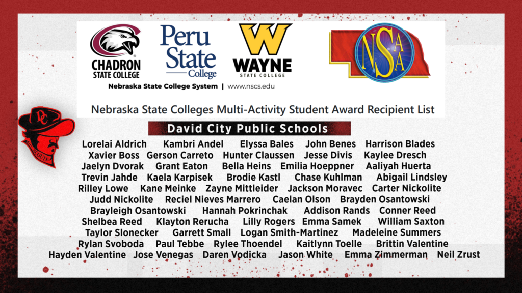 Multi-Activity Award