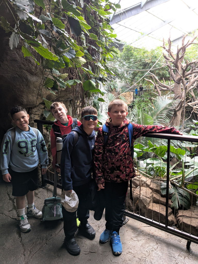 Field Trip to the Zoo!