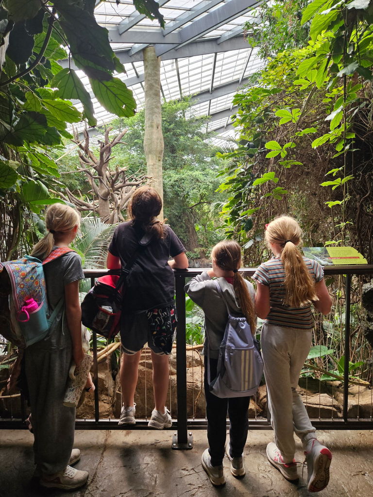 Field Trip to the Zoo!