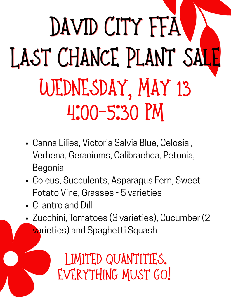 Flyer2